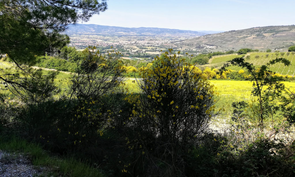 Foligno vista dalla collina di Treggio - dove si trova Il Treggio