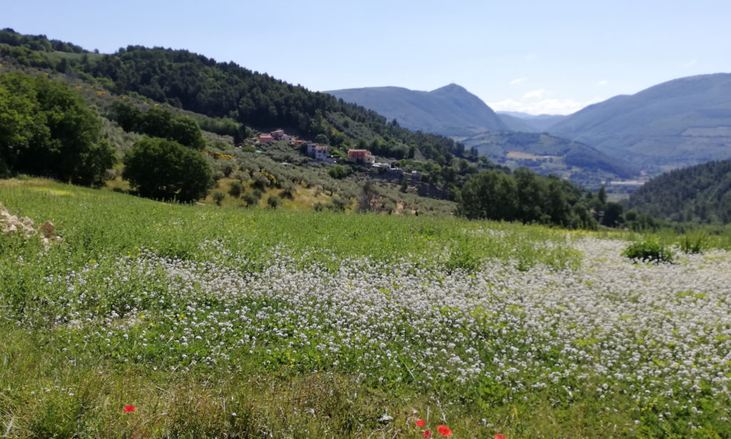 A spasso sulla collina - dove si trova Il Treggio