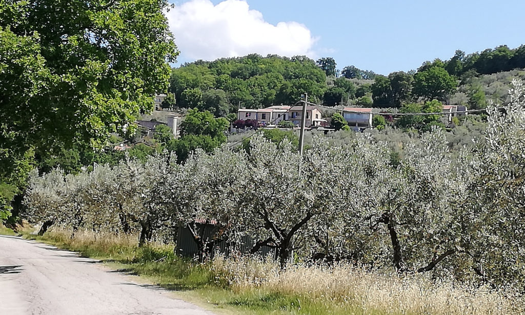 Ecco dove si trova il Treggio